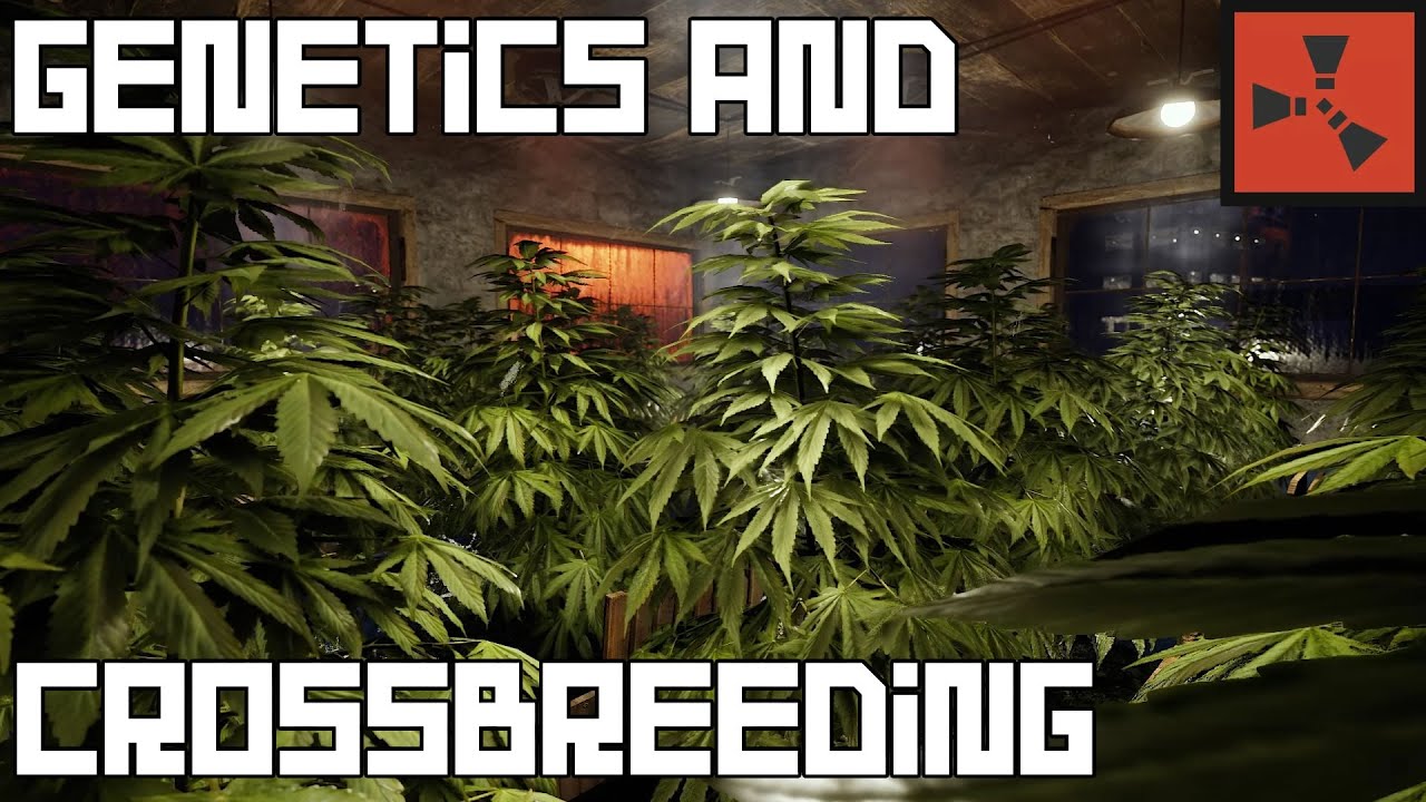 RUST Genetics Guide