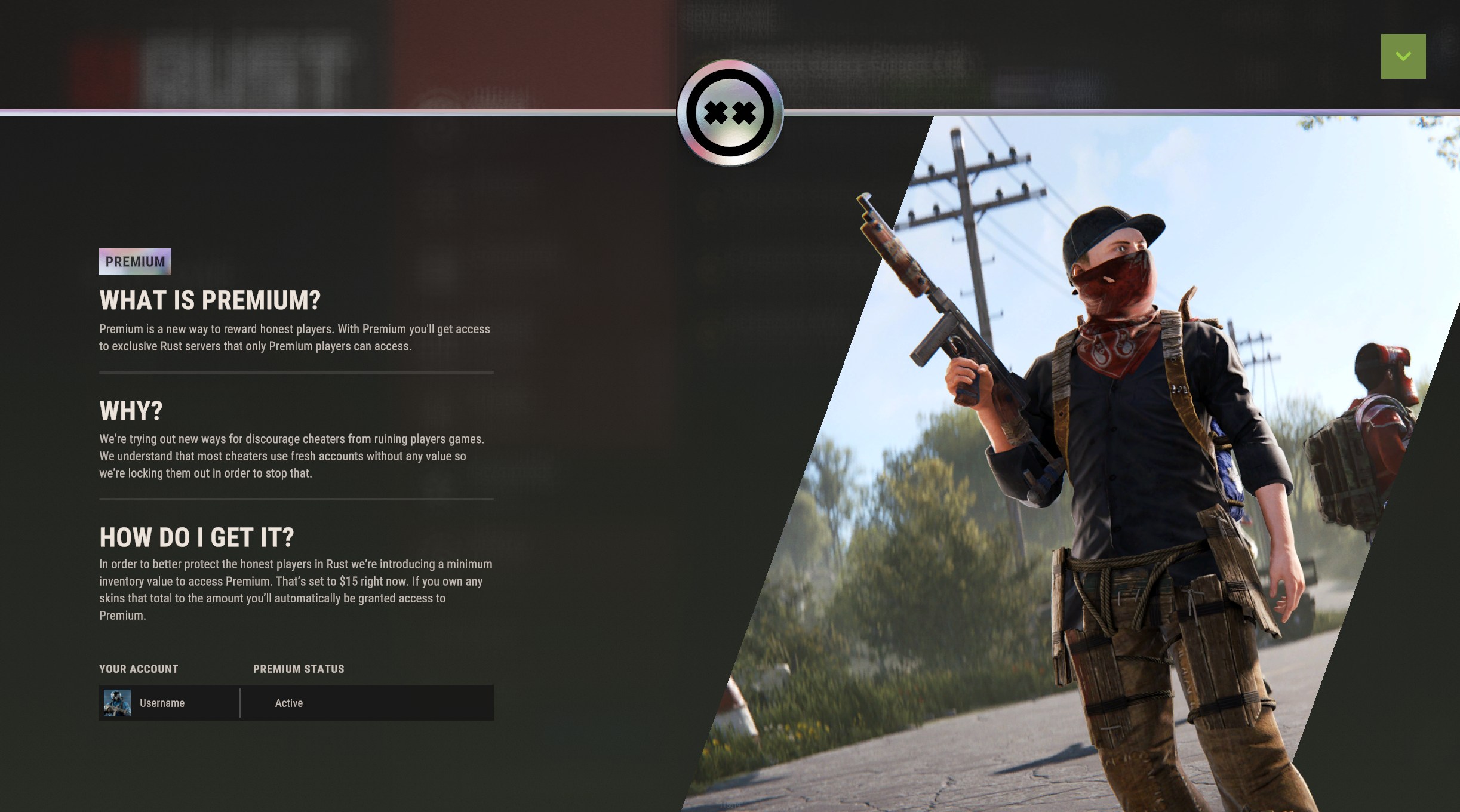 PREMIUM SERVERS
